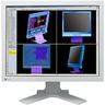 Eizo Flexscan L997 - 53,3cm (21