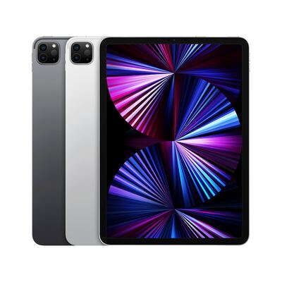 Apple iPad Pro - 3. Generation (2021) - 256GB  - WiFi + Cellular - Spce Grau - Wie Neu